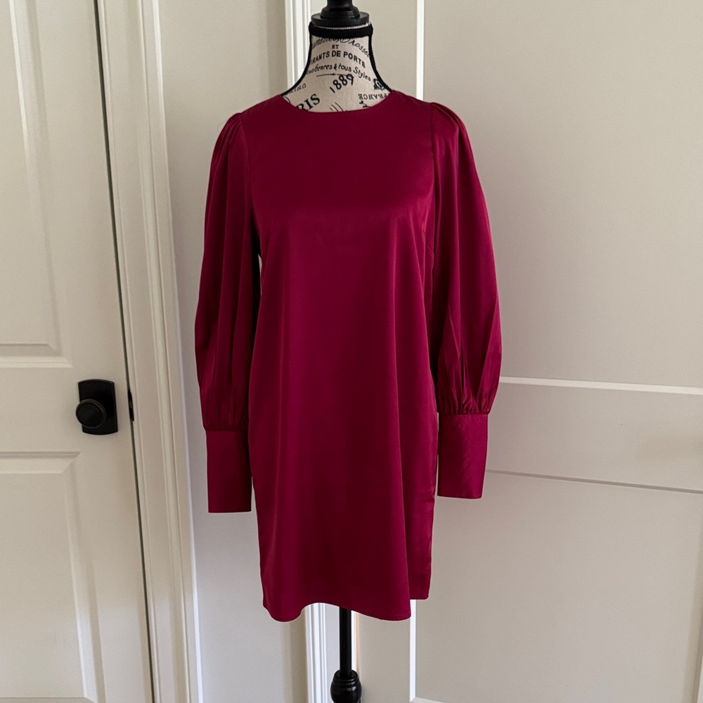 Elegant Raspberry Dress